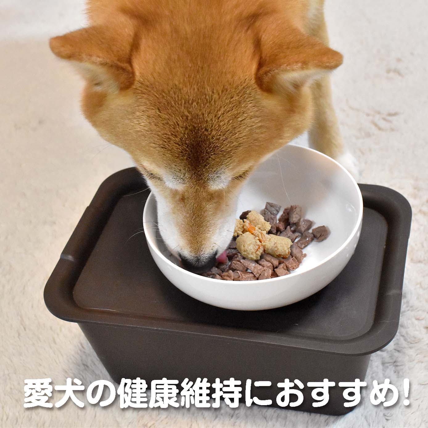 無添加ドッグフード「糀とブラン」ミニパック(10個入)