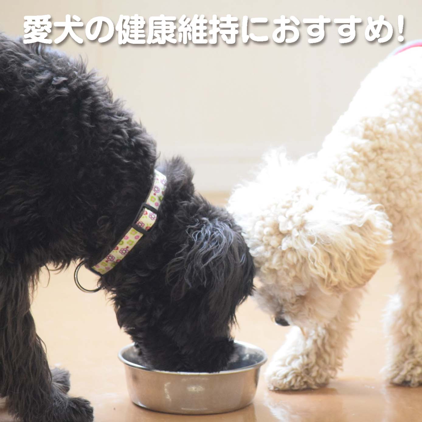 無添加ドッグフード「糀とブラン」スパウトパウチ(3個入)