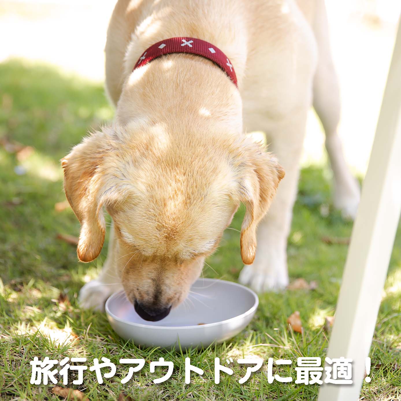 無添加ドッグフード「糀とブラン」スパウトパウチ(3個入)