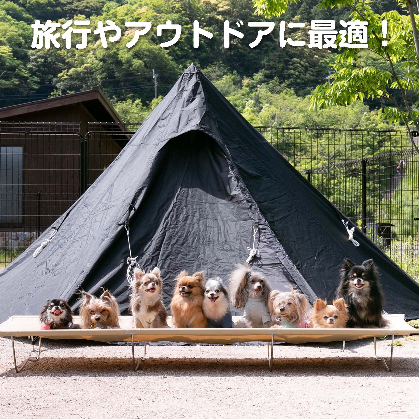 無添加ドッグフード「糀とブラン」スパウトパウチ(1個)