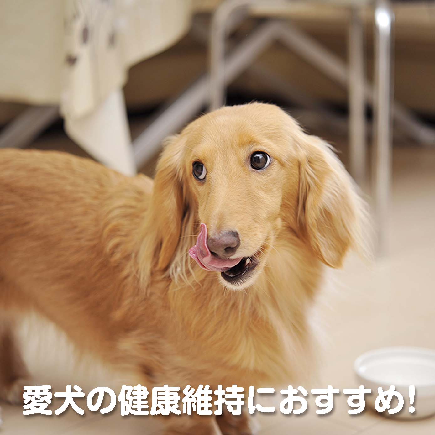 無添加ドッグフード「糀とブラン」スパウトパウチ(10個入/約1ヶ月分)