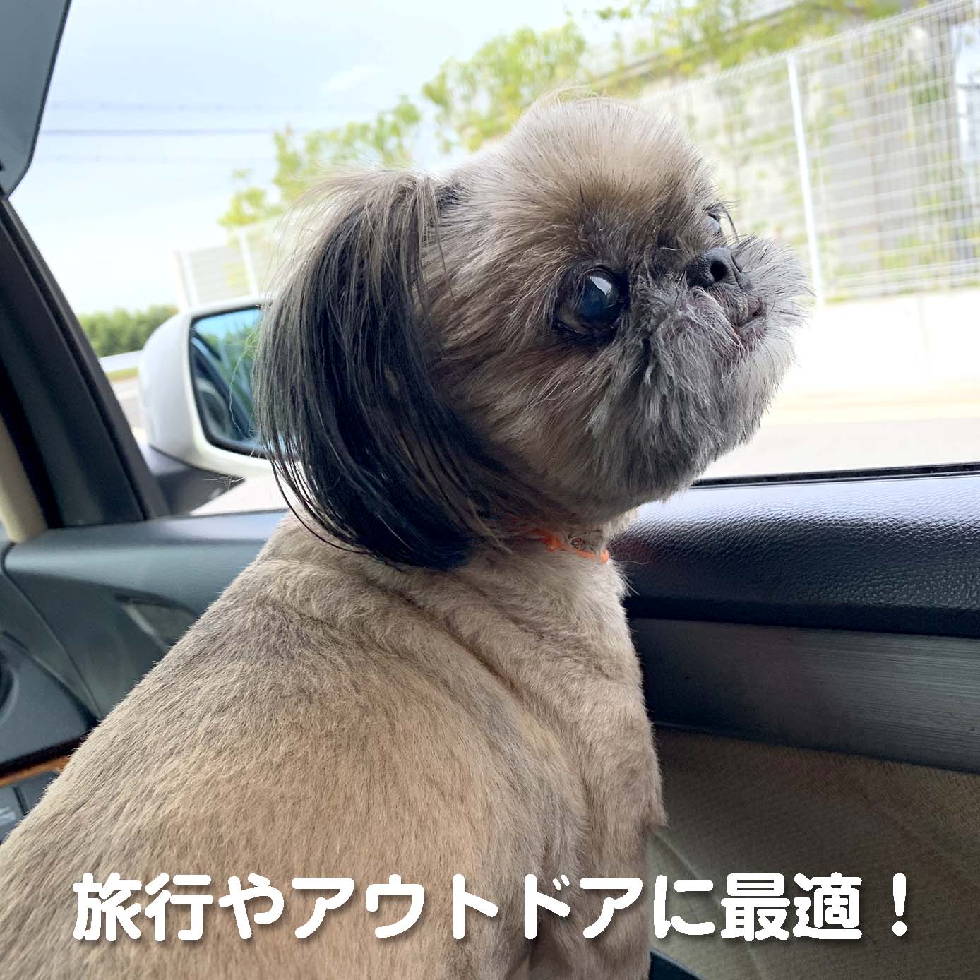 無添加ドッグフード「糀とブラン」スパウトパウチ(10個入/約1ヶ月分)