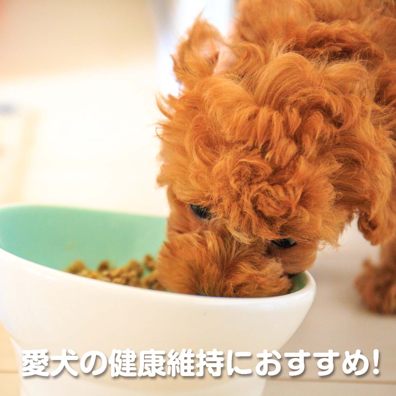 無添加ドッグフード「糀とブラン」スパウトパウチ(30個入/約3ヶ月分)