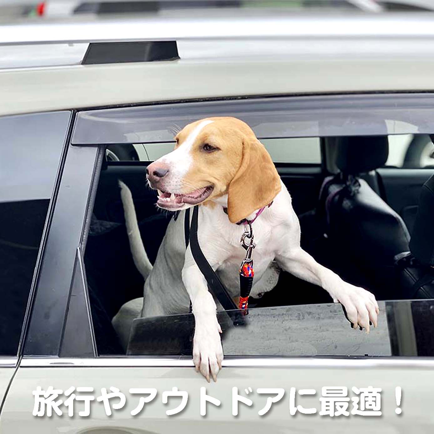 無添加ドッグフード「糀とブラン」スパウトパウチ(30個入/約3ヶ月分)